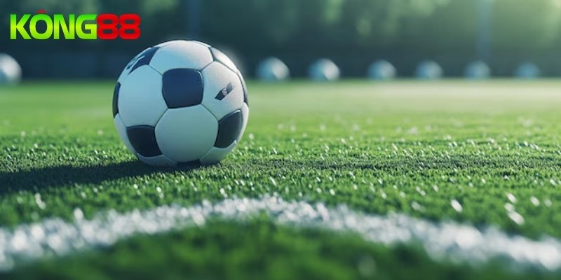 Tổng hợp các mẹo cao thủ bắt kèo 1x2 bất bại