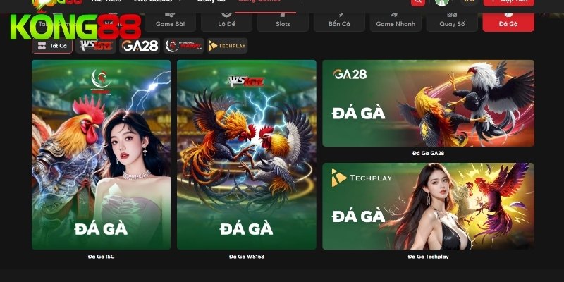 Khám phá 3 sảnh đá gà KONG88 cực chất